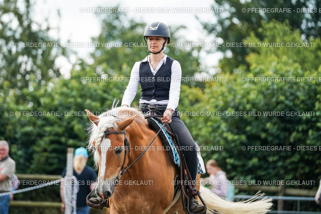 DSC03514 | Pferdegrafie