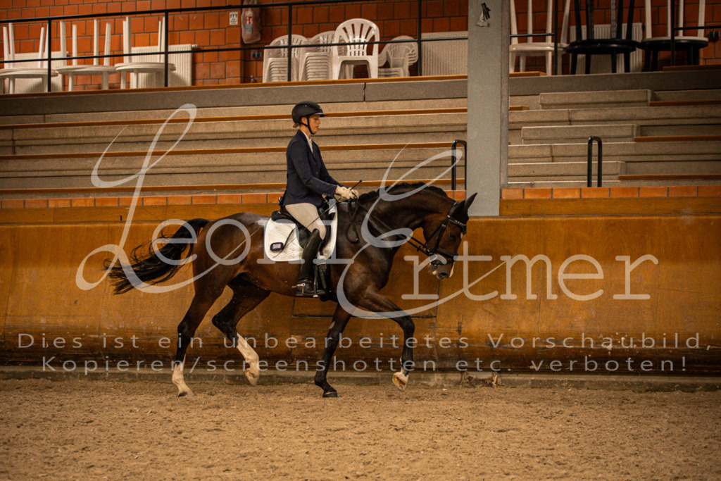 2Reiten00317 | Leoni Ertmer Photography - Realisiert mit Pictrs.com