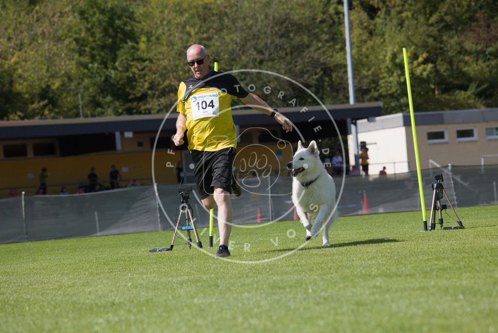0L8A2618 | Hundefotografie, Tierfotograf, Pfotenfotografie, Fotoshooting Hund, Hunde Portrait, Hundesport, Hundeportraits, Heideshooting, Hunde, Sportfotograf, Hundefotograf, Turnierhundsport, THS,  - Realisiert mit Pictrs.com