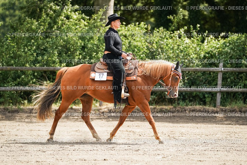 DSC06099 | Pferdegrafie