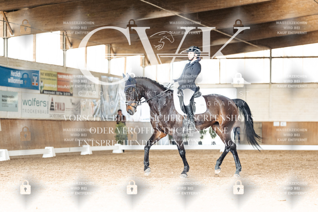 CK902339 | Turnierfotografie Pferdefotografie Trier Rheinland-Pfalz Pferdesport Reitsport Tierfotografie Sportfotografie Pferdevideo Pferdevideografie Equestrianvideography equestrianphotography  - Realisiert mit Pictrs.com