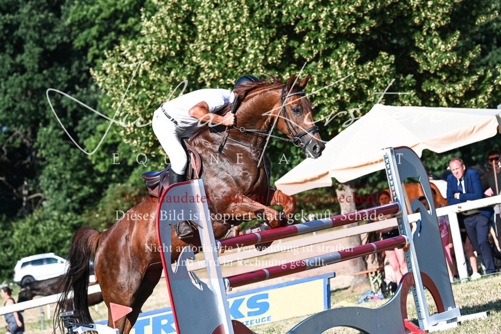 DSC_2749 | Pferde- und Turnierfotografie in Westsachsen. Pferdeportraits, Auftragszeichnungen und intuitive Kunst.