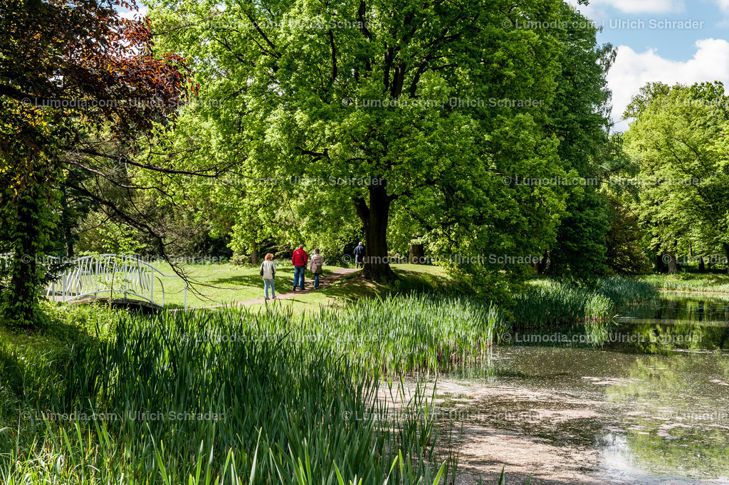 10049-1640 - Stadtpark Tangerhütte | Stockfoto und Bilderpool mit Bildmaterial aus Deutschland, dem Harz, Halberstadt, Quedlinburg, Wernigerode und weltweit. Qualitativ hochwertige und professionelle Fotos anschauen und kaufen. - Realisiert mit Pictrs.com