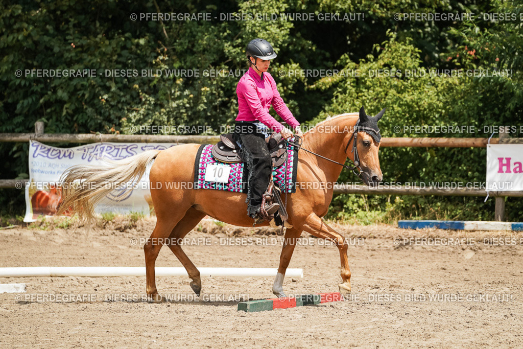 DSC08040 | Pferdegrafie