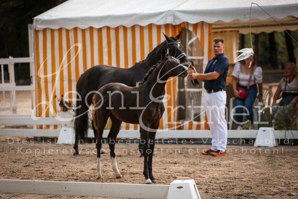 10.DoRP00068 | Leoni Ertmer Photography - Realisiert mit Pictrs.com