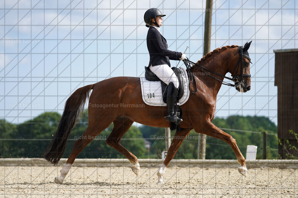 20230826-FAH06141 | Forstinning, 2023, Dressurturnier, Turniersportbilder, Turnierfotografen Bayern, Fotoagentur Herrmann, Reitsportfotografie, Turnierbilder