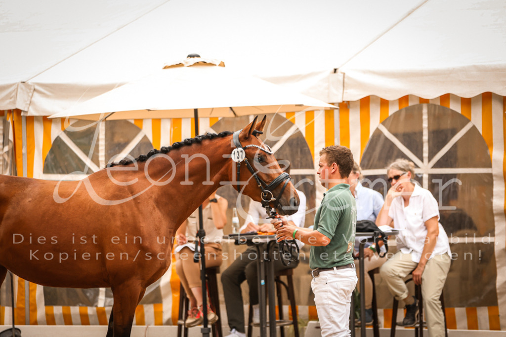 05.So00007 | Leoni Ertmer Photography - Realisiert mit Pictrs.com