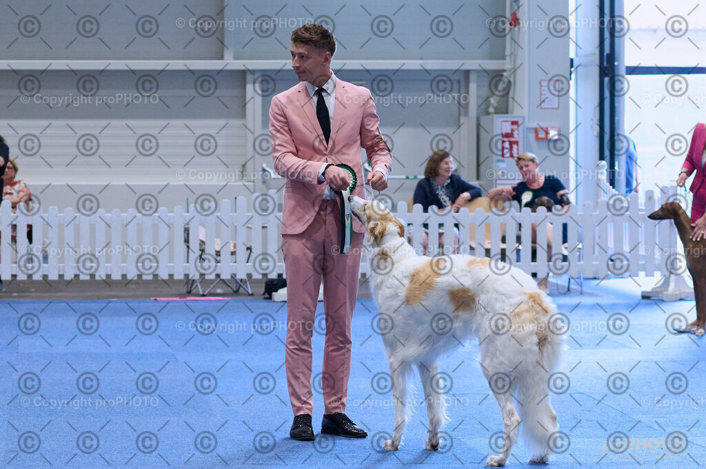 202406_ÖKV-IHA-Tulln24_DSC_4247 | proPHOTO - Realisiert mit Pictrs.com