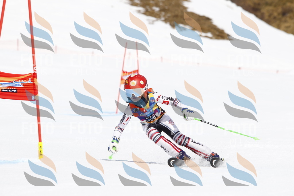 _U3G5229 | holidayphoto