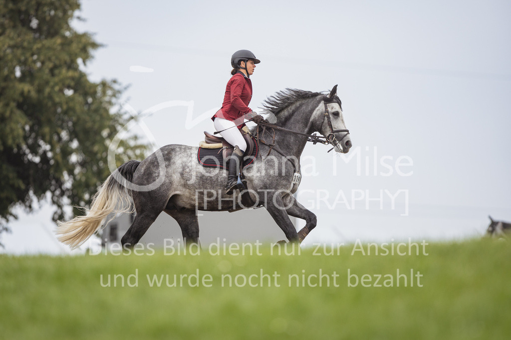 230730_BHO_M2-Spr_2-501 | Deine schönsten Turniermomente als professionelle Fotos! Entdecke hochwertige Pferdesport-Fotografie im Online-Shop. Jetzt Fotos finden & bestellen!