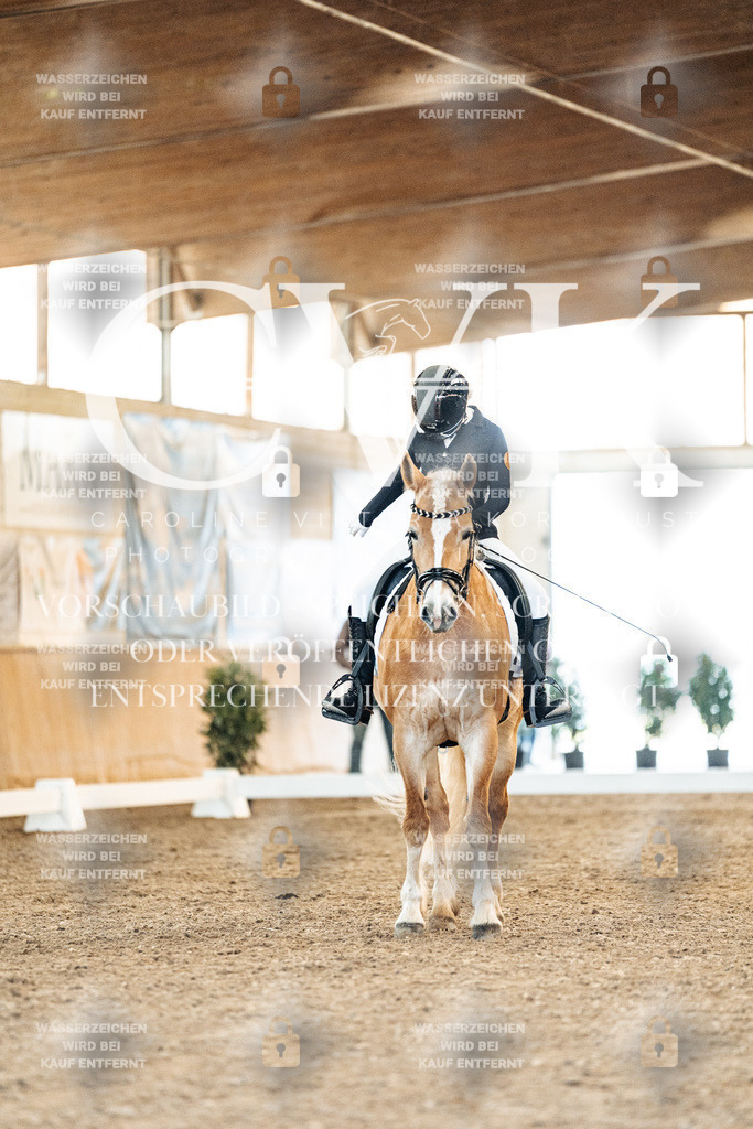 CK907437 | Turnierfotografie Pferdefotografie Trier Rheinland-Pfalz Pferdesport Reitsport Tierfotografie Sportfotografie Pferdevideo Pferdevideografie Equestrianvideography equestrianphotography  - Realisiert mit Pictrs.com