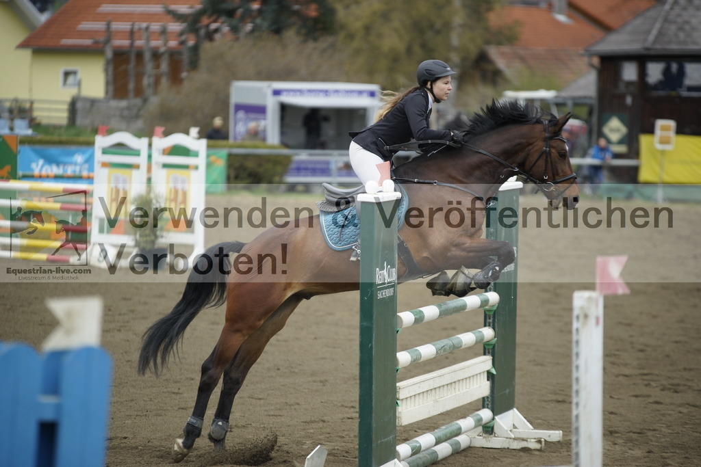 _DSC7143 | equestrian-live-com