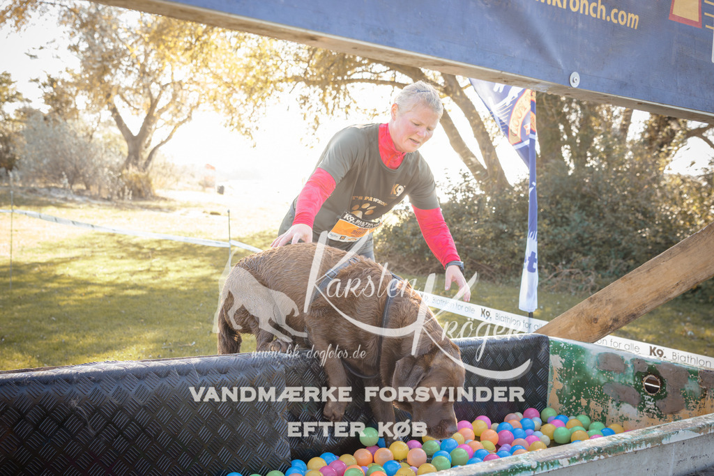 1221_ZZ95732 | kk-dogfotos