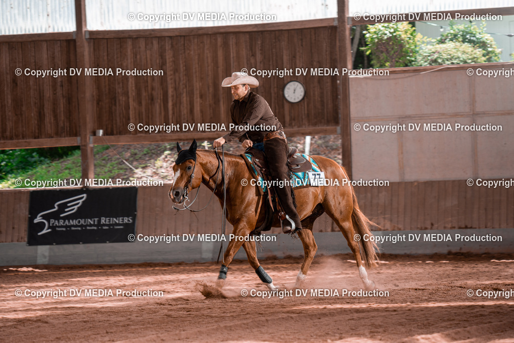 NE100689 | dv-media-shop - Realisiert mit Pictrs.com