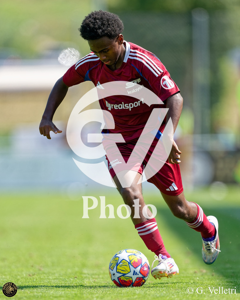 DZ9_5697 | Velletri Photo