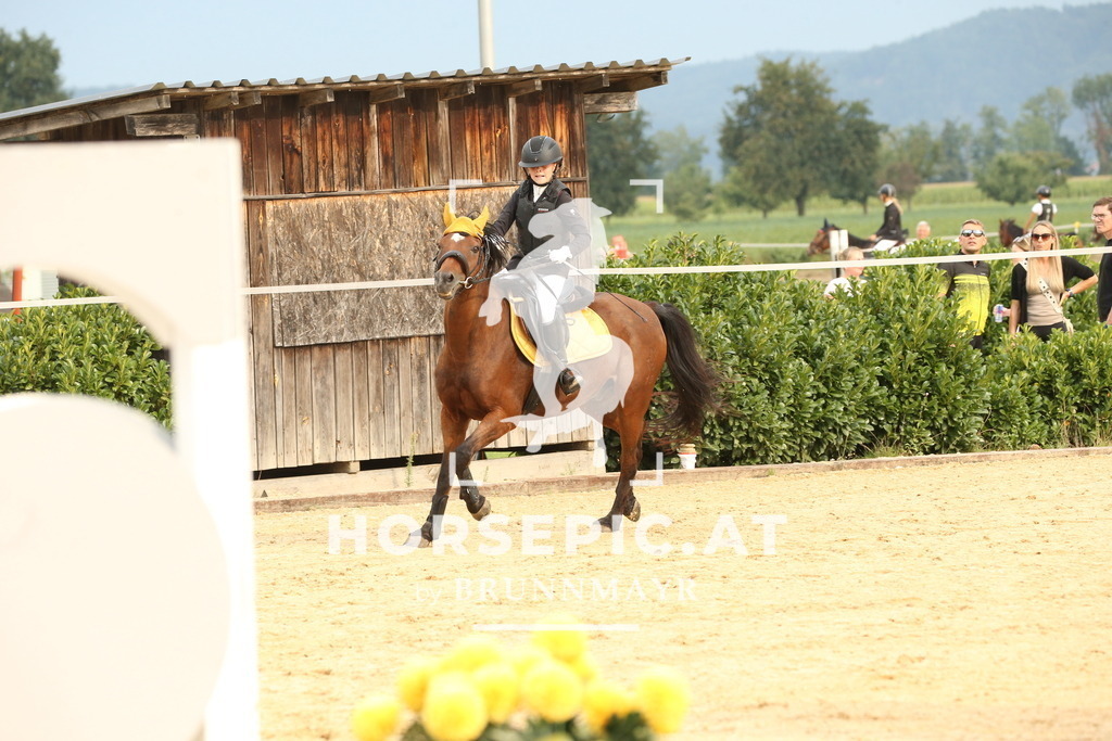 DL2Q3126 | Willkommen bei Brunnmayr - Design & Fotografie – Ihrem Spezialisten für Reitturniere und Pferdeveranstaltungen in Oberösterreich, Salzburg und Bayern! Seit über 17 Jahren sind wir leidenschaftlich dabei.