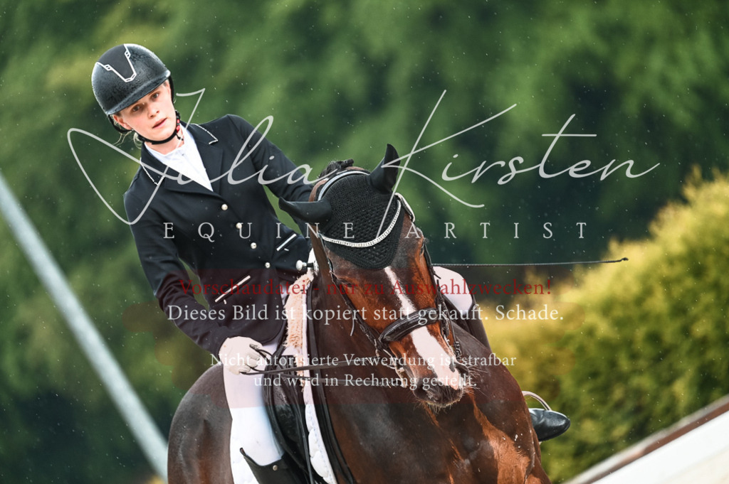 DSC_4184 | Pferde- und Turnierfotografie in Westsachsen. Pferdeportraits, Auftragszeichnungen und intuitive Kunst.