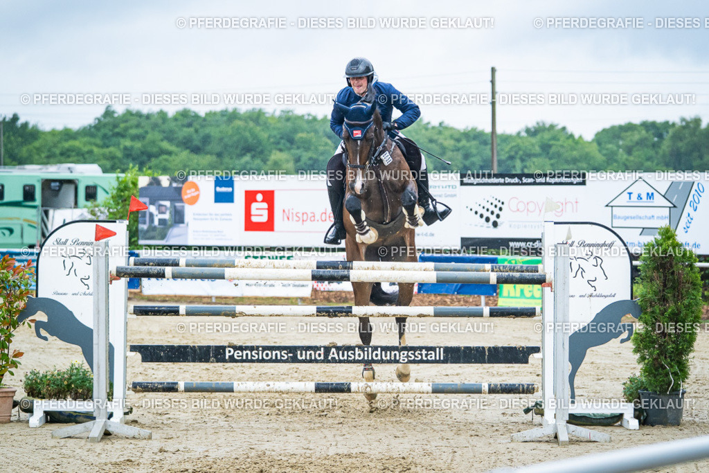 DSC00534 | Pferdegrafie