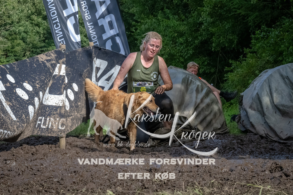1702_ZZ90863-Bearbeitet | kk-dogfotos