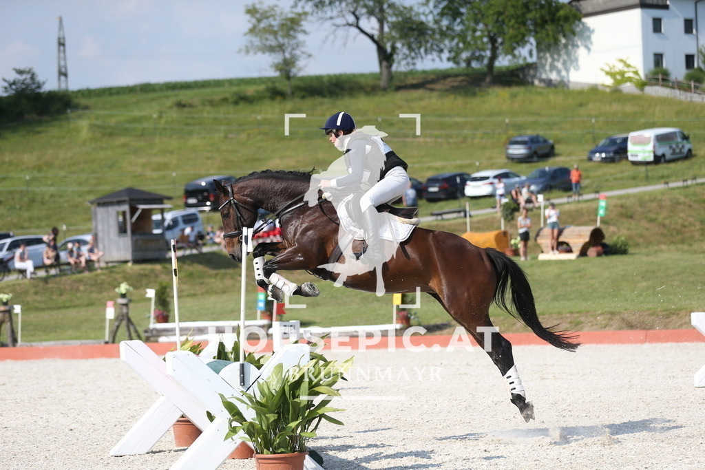 DL2Q3074 | Willkommen bei Brunnmayr - Design & Fotografie – Ihrem Spezialisten für Reitturniere und Pferdeveranstaltungen in Oberösterreich, Salzburg und Bayern! Seit über 17 Jahren sind wir leidenschaftlich dabei.