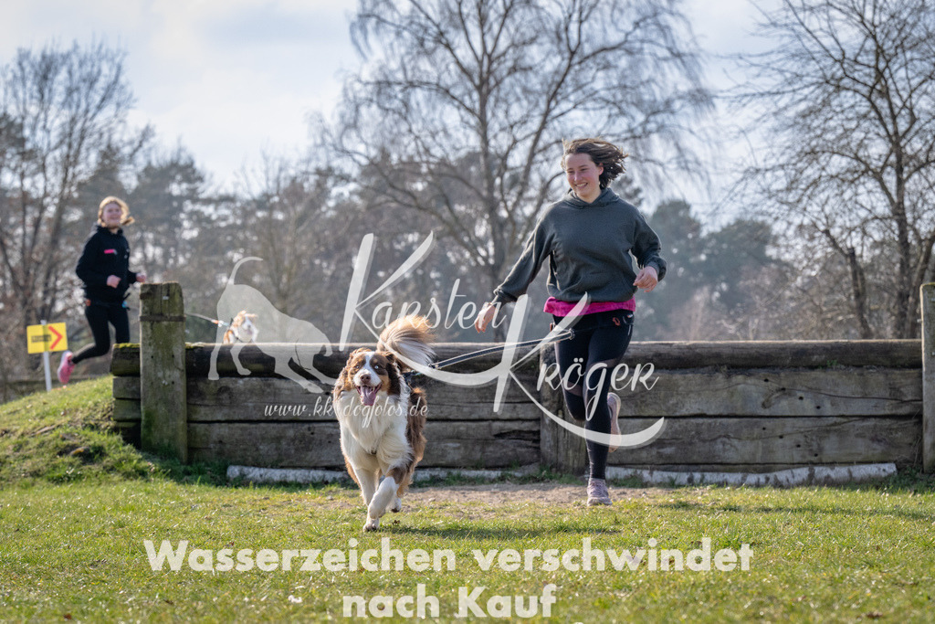 _ZZ90991 | kk-dogfotos