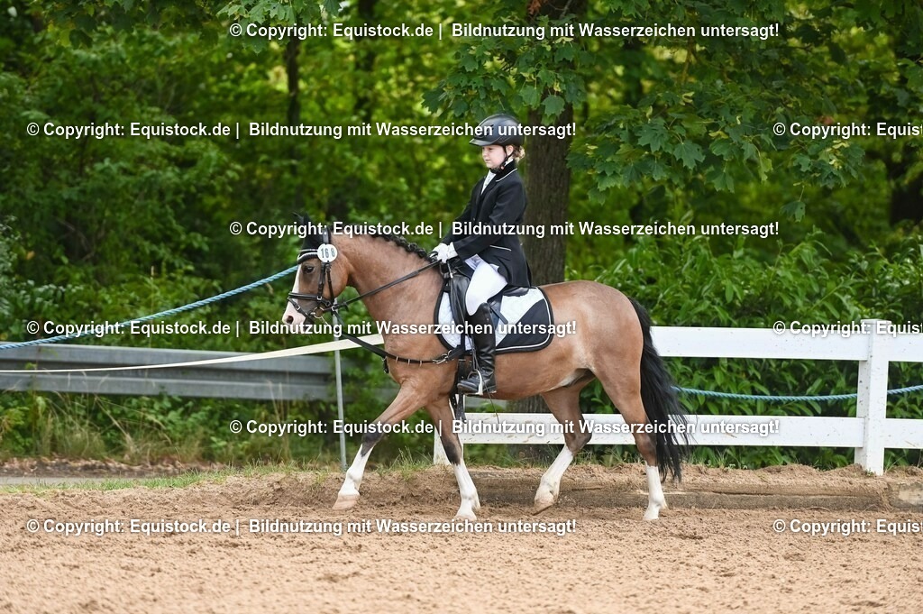 20230716_10-2_Reiter-WB Schritt - Trab - Galopp_0144 | equistock