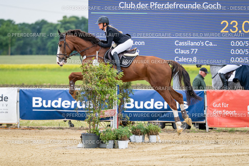 DSC05352 | Pferdegrafie