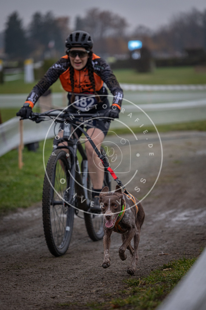 CaniXpix_0L8A1777 | Hundefotografie, Tierfotograf, Pfotenfotografie, Fotoshooting Hund, Hunde Portrait, Hundesport, Hundeportraits, Heideshooting, Hunde, Sportfotograf, Hundefotograf, Turnierhundsport, THS,  - Realisiert mit Pictrs.com