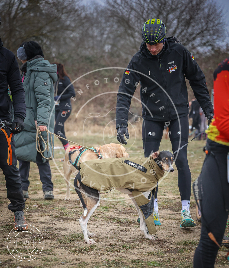Pfotenfotografie_0L8A2190 | Hundefotografie, Tierfotograf, Pfotenfotografie, Fotoshooting Hund, Hunde Portrait, Hundesport, Hundeportraits, Heideshooting, Hunde, Sportfotograf, Hundefotograf, Turnierhundsport, THS,  - Realisiert mit Pictrs.com