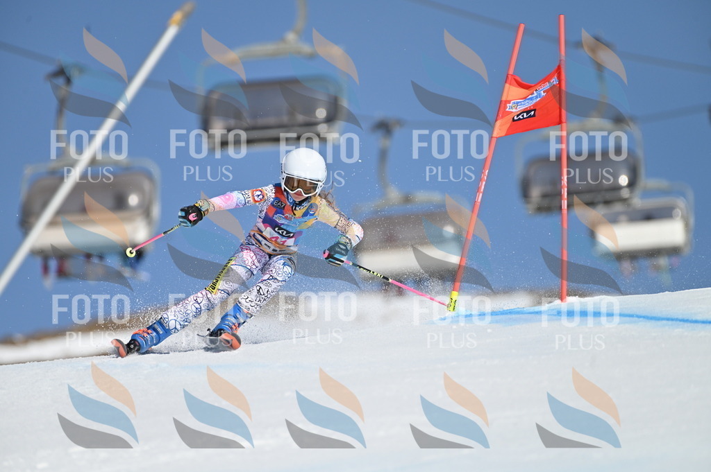 BGV_8364 | holidayphoto