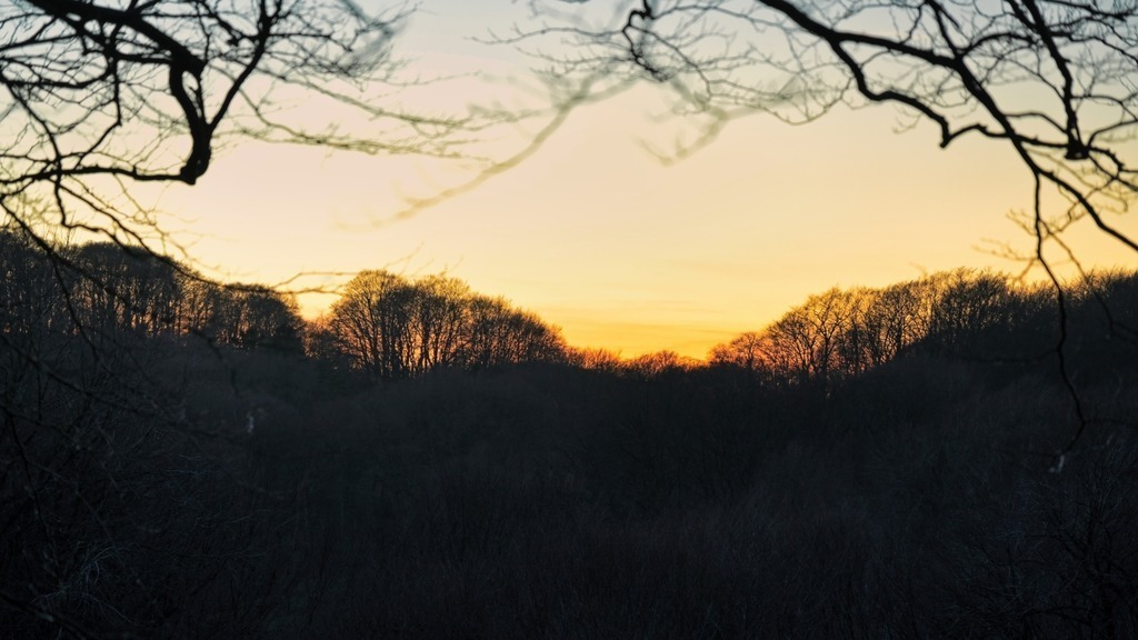 Z73_7733 | Freier Fotograf aus Itzehoe. Kontakt via instagram.com/f0t0kunst/ - Realisiert mit Pictrs.com