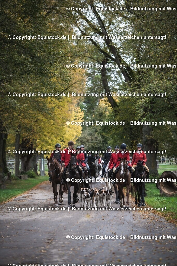 20241013_Jagd-Marbach_0486 | Foto: Thomas Hartig