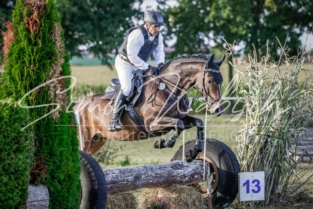 20250906-_3LI7905 | Tierfotografie Pferde, Hunde, Katzen, Haustiere.
Turnierfotografie Reitturniere, Reiten, Springreiten, Dressur in Hanau, dem Main-Kinzig-Kreis und dem Rhein-Main- Gebiet um Frankfurt