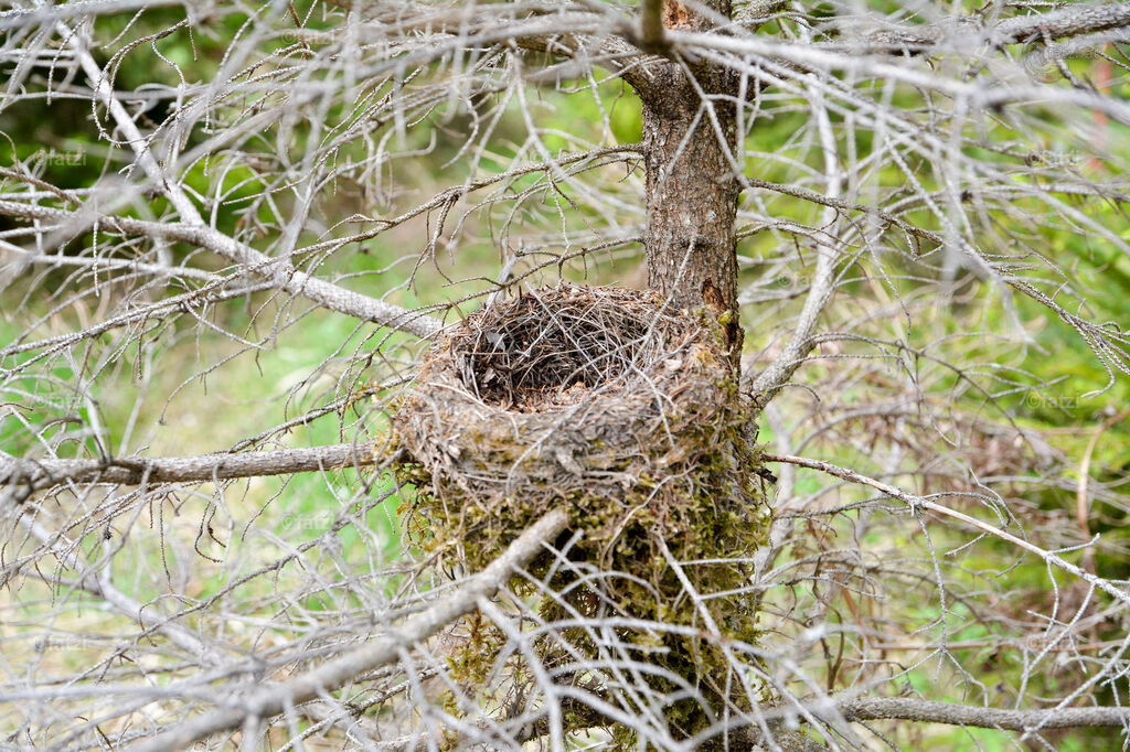 Dobr-Schütt-Mai15134_1 | Fatzi Bilder-Archiv! 
Die Bilder sind für private Nutzung lizenzfrei. Die kommerzielle Nutzung ist möglich und erwünscht, jedoch bitte ich um vorherige Kontaktaufnahme per E-Mail (info@fatzi.at) oder unter +43 650 7828269 - Realisiert mit Pictrs.com