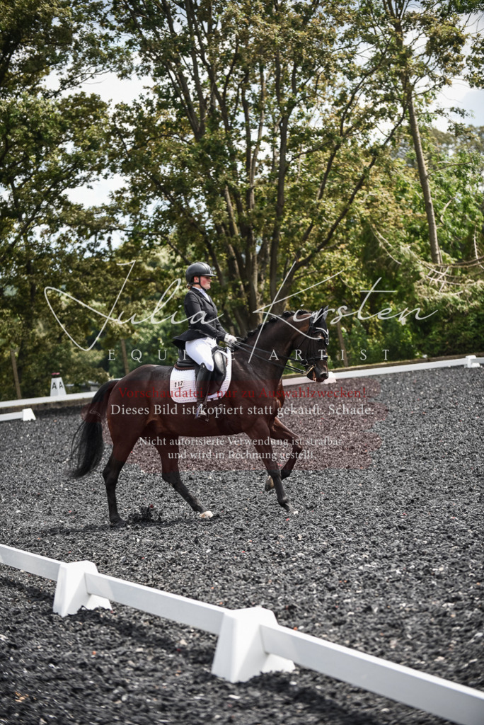DSC_4811 | Pferde- und Turnierfotografie in Westsachsen. Pferdeportraits, Auftragszeichnungen und intuitive Kunst.