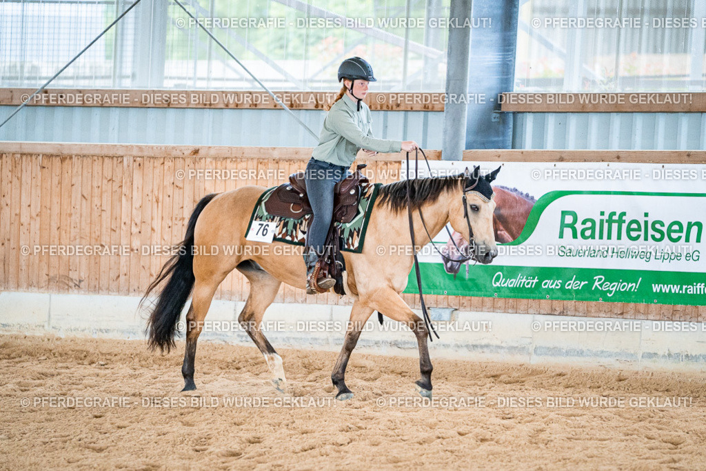 DSC09673 | Pferdegrafie