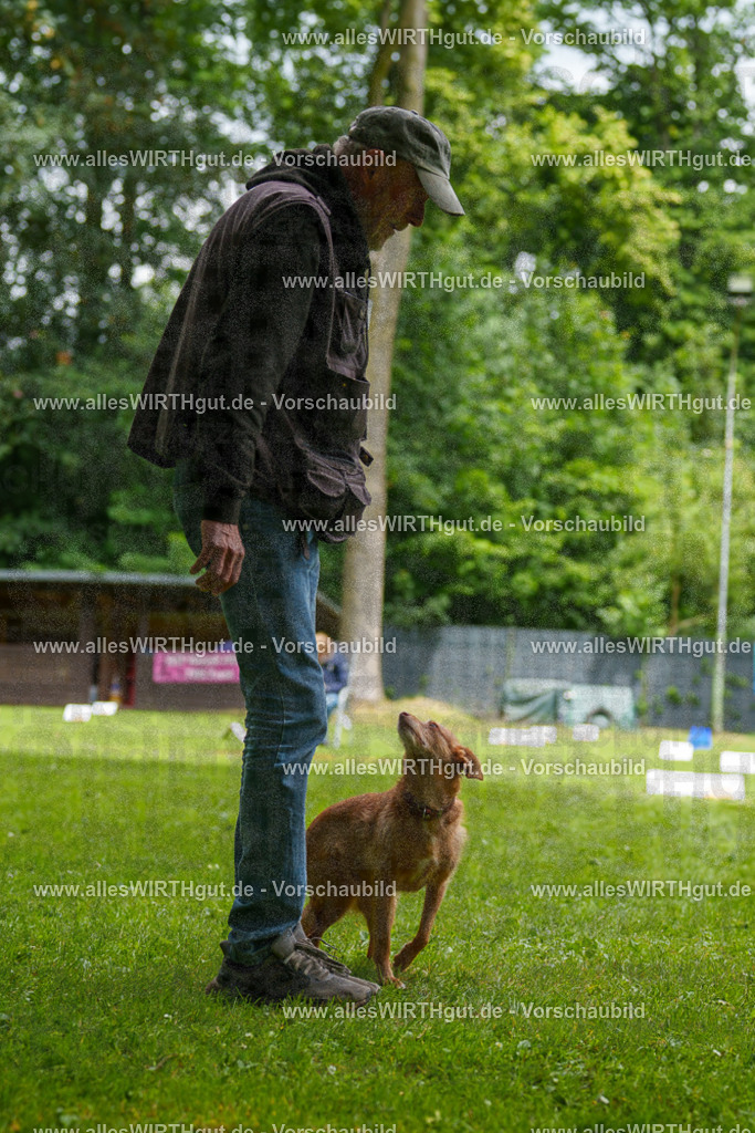 @allesWIRTHgut_Tierfotografie - www.allesWIRTHgut.de - 121606-7R508760 | Professionelle Tierfotografie in Mönchengladbach von Daniel Wirth (allesWIRTHgut). Liebevolle & natürliche Bilder von Hunden & Katzen für unvergessliche Erinnerungen.