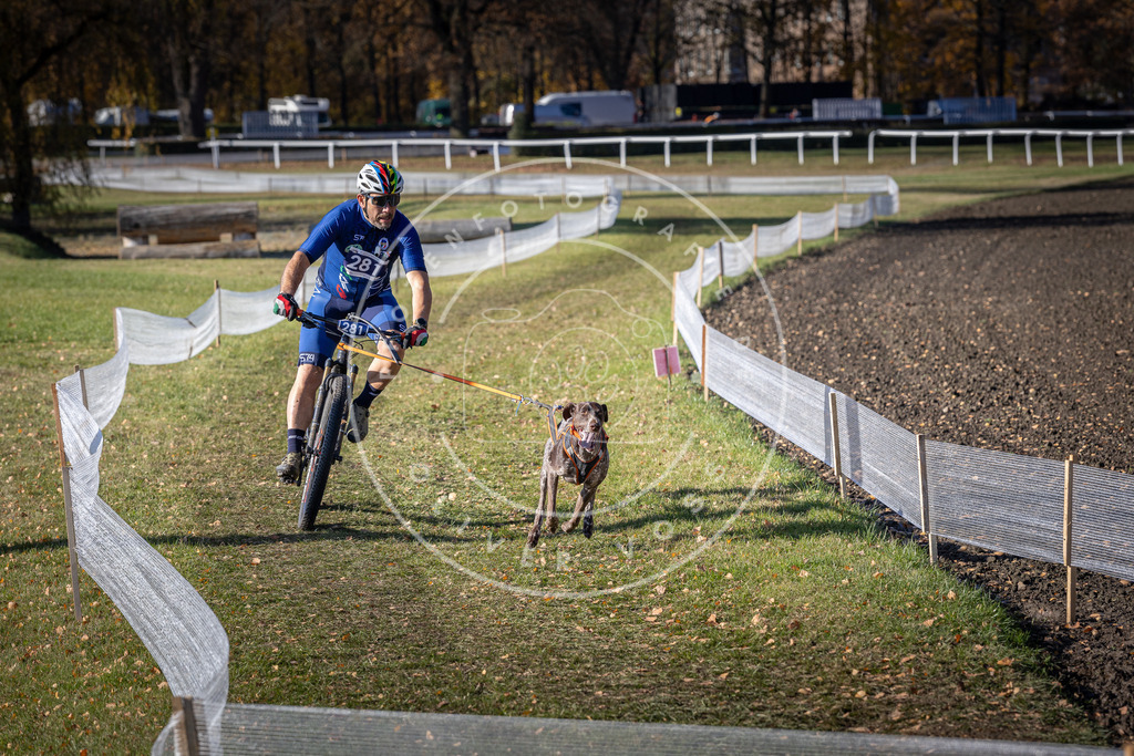 CaniXpix_DV3A5516 | Hundefotografie, Tierfotograf, Pfotenfotografie, Fotoshooting Hund, Hunde Portrait, Hundesport, Hundeportraits, Heideshooting, Hunde, Sportfotograf, Hundefotograf, Turnierhundsport, THS,  - Realisiert mit Pictrs.com