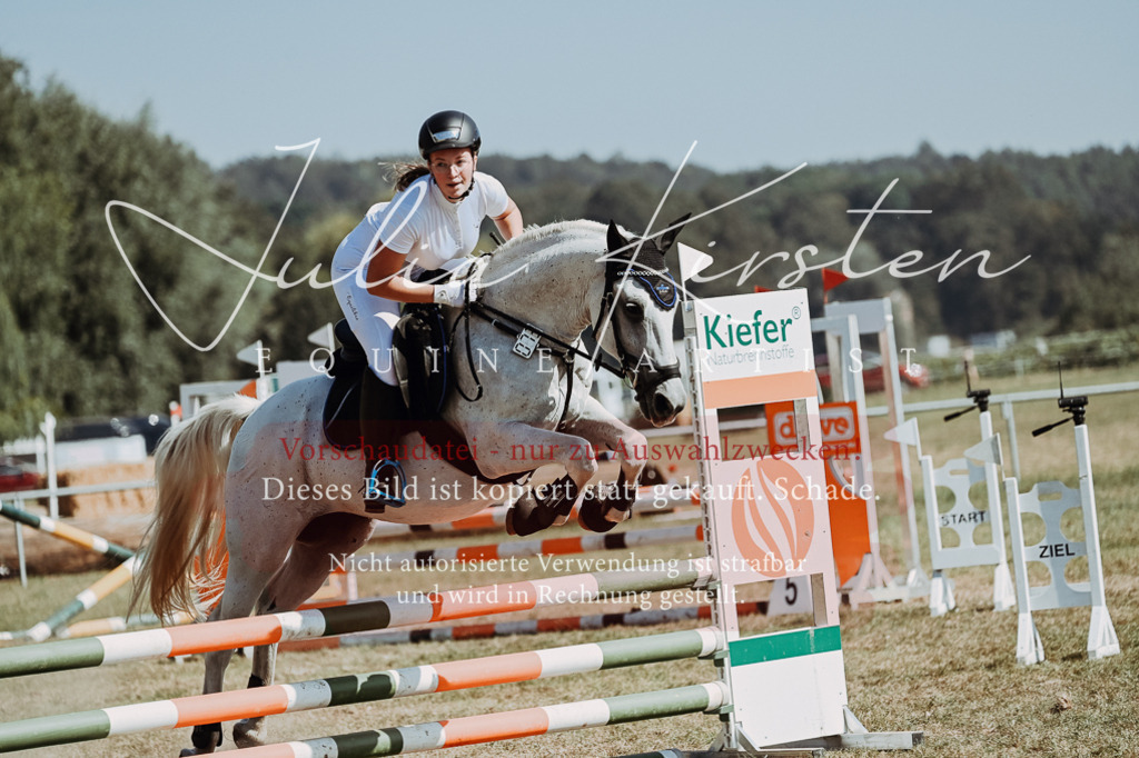 DSC_9607 | Pferde- und Turnierfotografie in Westsachsen. Pferdeportraits, Auftragszeichnungen und intuitive Kunst.