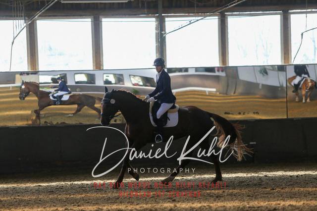 IMG_2387 | Turniersportfotografie; Pferdefotografie; Dressurfotografie