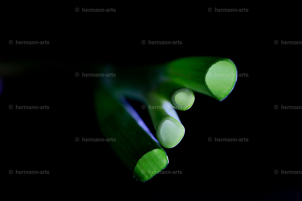 Fruits-Art-002 | Photo Foto Kunst Art schwarzweiss Bilder Rheine Münster Berlin Blumen 