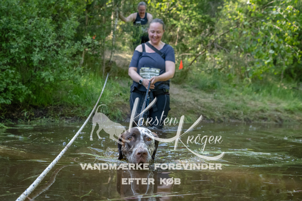 1700DKK991507 | kk-dogfotos