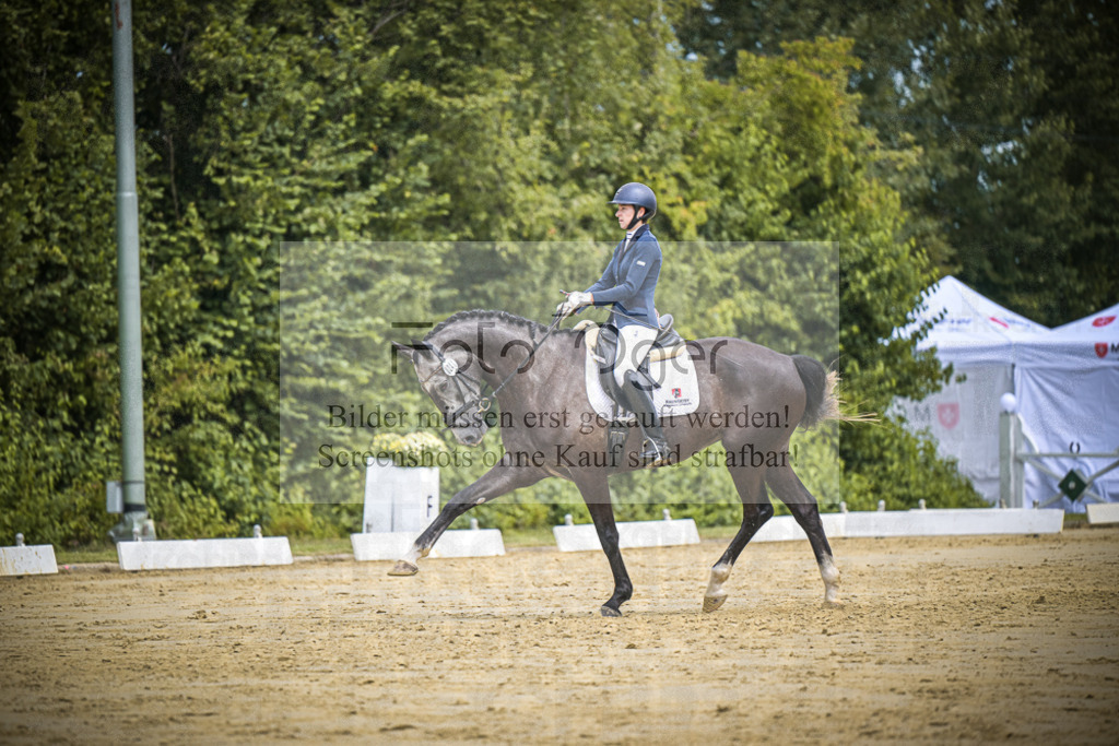 DOS_2101 | Entdecke hochwertige Reitturnierfotos von Foto Oger. Professionell, emotional und authentisch – jetzt Lieblingsmomente im Shop bestellen.Deutschlandweite Turnierfotografie. - Realisiert mit Pictrs.com