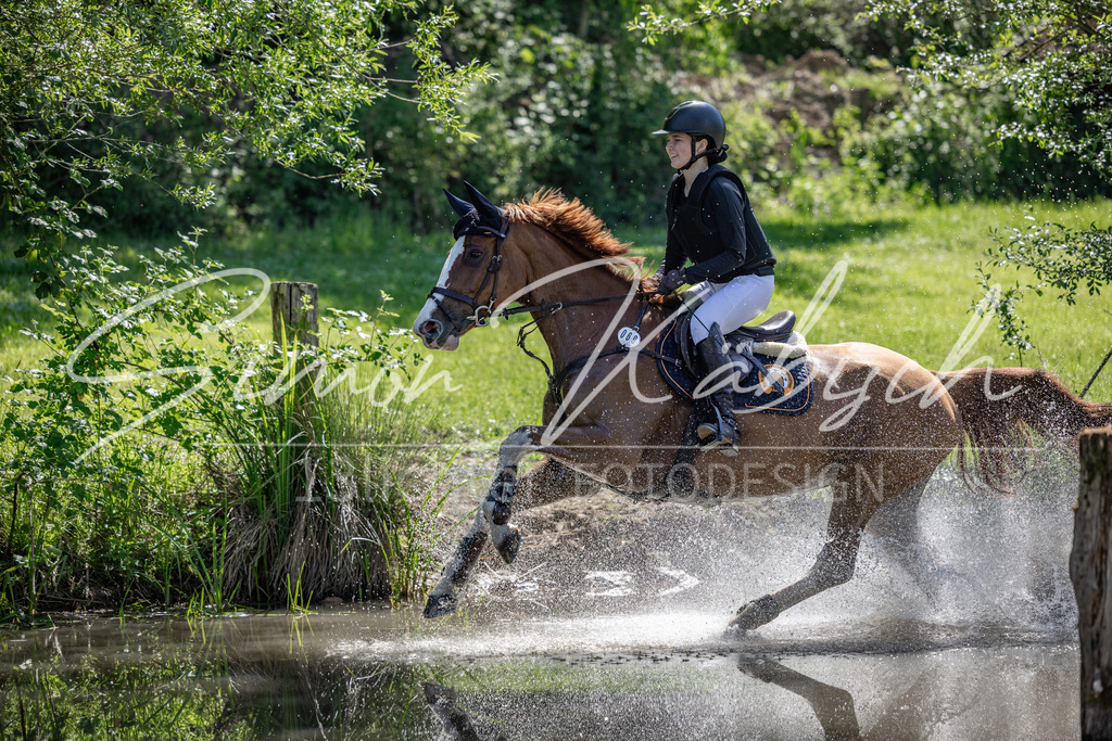 20260523-_3LI7355 | Tierfotografie Pferde, Hunde, Katzen, Haustiere.
Turnierfotografie Reitturniere, Reiten, Springreiten, Dressur in Hanau, dem Main-Kinzig-Kreis und dem Rhein-Main- Gebiet um Frankfurt