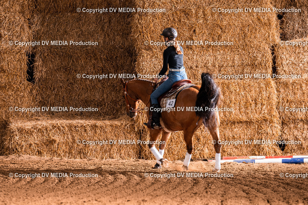 Balingen Tag 2-956 | dv-media-shop - Realisiert mit Pictrs.com