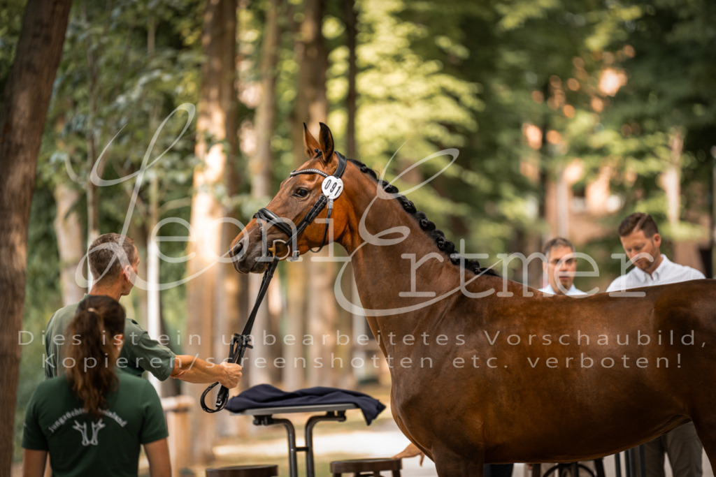 FrPfM00142 | Leoni Ertmer Photography - Realisiert mit Pictrs.com