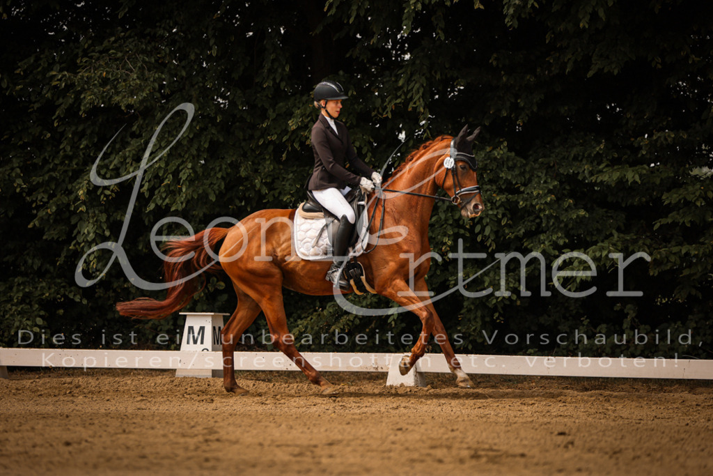 15.SaDrL00116 | Leoni Ertmer Photography - Realisiert mit Pictrs.com