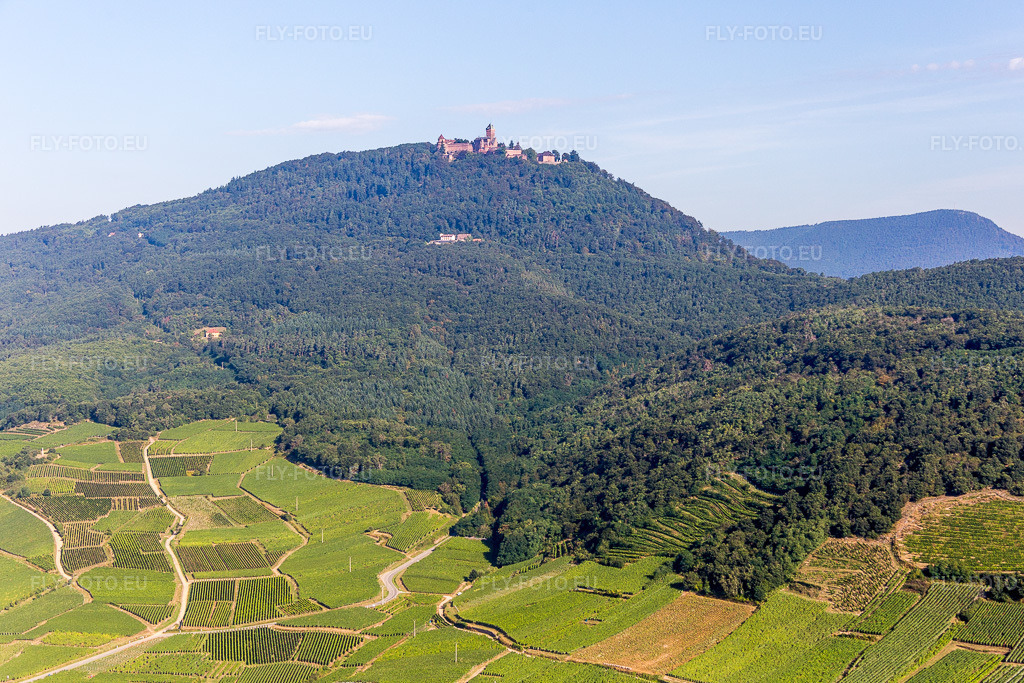 Vue aérienne: Complexe du château de Hohkönigsburg à Orschwiller dans le département Bas Rhin, France – .Photo: IMG_093314.jpg prise le 16/08/2016 par Werner Riehm/FLY-FOTO.eu – Résolution de l'original: 5318 x 3545 px