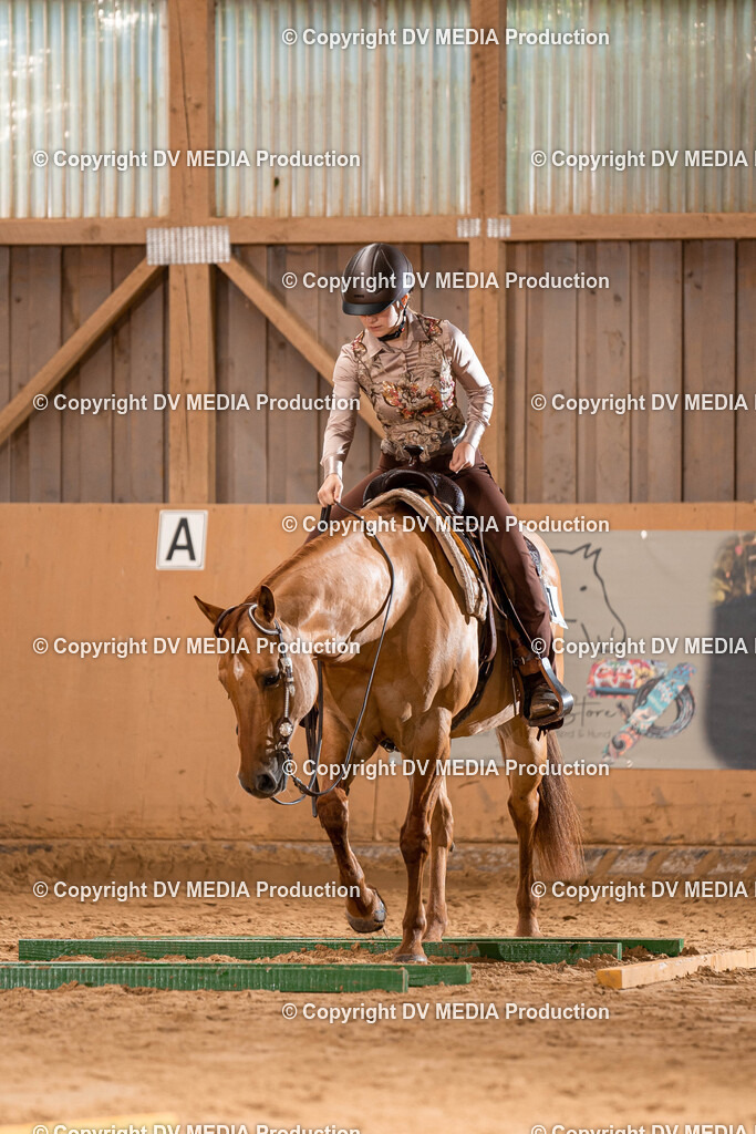 Losheim Tag 2-73 | dv-media-shop - Realisiert mit Pictrs.com