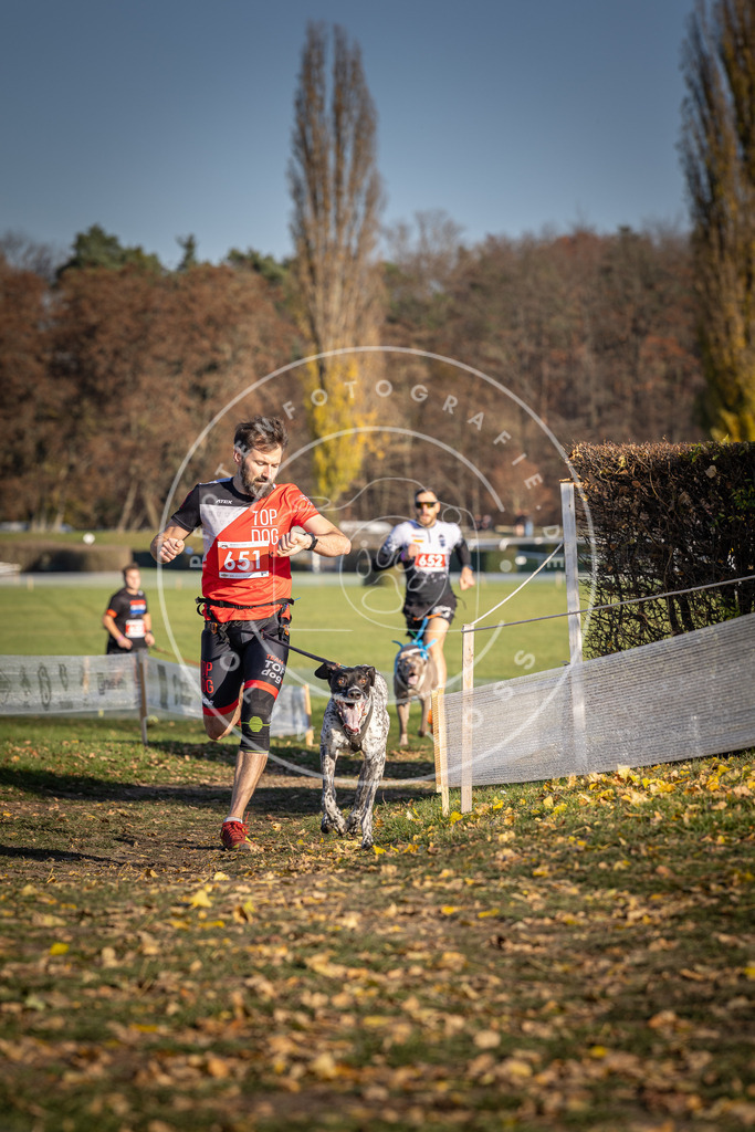 CaniXpix_DV3A0466 | Hundefotografie, Tierfotograf, Pfotenfotografie, Fotoshooting Hund, Hunde Portrait, Hundesport, Hundeportraits, Heideshooting, Hunde, Sportfotograf, Hundefotograf, Turnierhundsport, THS,  - Realisiert mit Pictrs.com